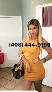 Escort San Jose, San Jose / South Bay 408-444-9199 backpage