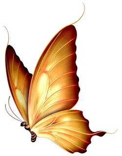 Рисунки Бабочка - Стихи, картинки и любовь