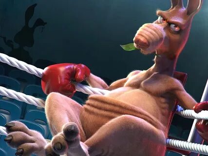 Boxing Kangaroo by José Alves da Silva on Dribbble