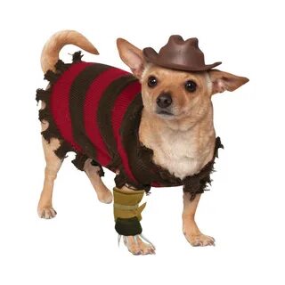 Freddy Krueger Dog Costume - Large Dog costumes funny, Pet h