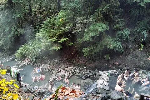 Camping Near Terwilliger Hot Springs - Pin On Camping / At t