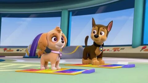 Skye x Chase - PAW Patrol - Animated Couples foto (40131011)