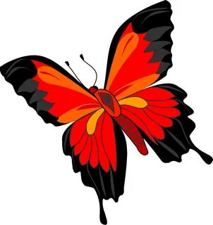 Butterfly PNG Image Butterfly clip art, Butterfly art, Butte