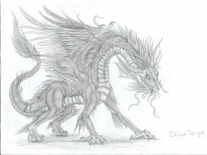 Chinees dragon Dragon drawing, Realistic dragon, Realistic d
