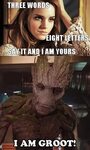 33 Funniest Groot Memes That Will Make Him The Most Adorable