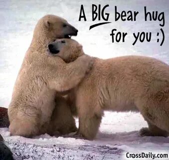 Lets Have a Big Hug on Valentines Day, Spread Love