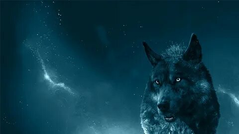 Moving Wolf Wallpapers (72+ images)