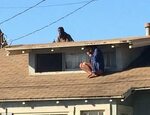woman evades home intruder by hiding on the roof!!! - Imgur