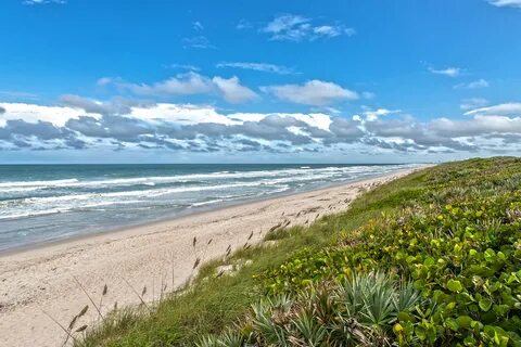 Canaveral National Seashore Florida Smart