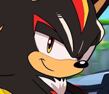Shadow smiling Sonic the Hedgehog! Amino