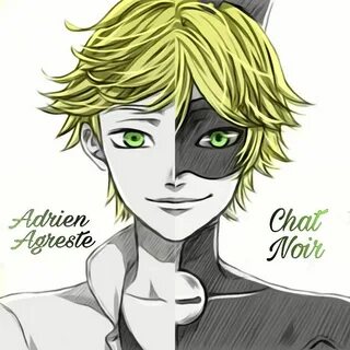 Cat Noir Anime Adrien Agreste / Adrien x Chat Noir by MariSt