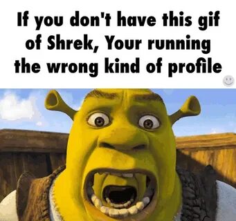 Shrek GIF - Find on GIFER