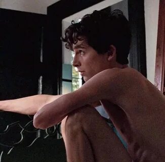 Picture of Timothee Chalamet in Call Me By Your Name - timot