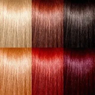 No Ammonia Japanese Hair Dye Organic Based Rajasthani And Re