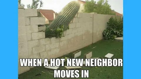 Funny Neighbor Meme - vTomb