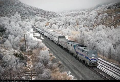 RailPictures.Net Photo: AMTK 184 Amtrak GE P42DC at Raton, N