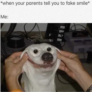 Fake Smile Meme - IdleMeme