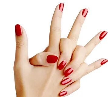 Clip Art Free Collection Of Free Transparent Download - Nail
