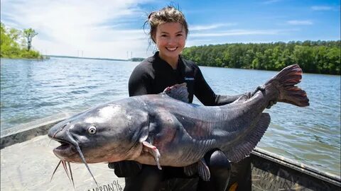 CATFISH NOODLING! Hannah Catches her Biggest Blue Cat EVER a