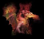Fire Breathing Mythical Dragon - piqs.de - Bilddatenbank, Bi