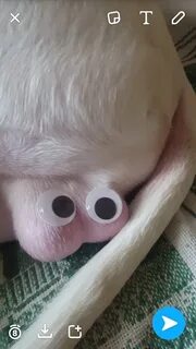 Googly eyes - Album on Imgur