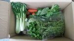 4 vegetable subcription box services in Malaysia - JewelPie
