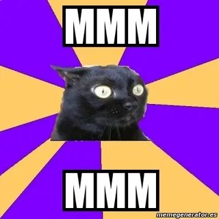 Meme Anxiety Cat - mmm mmm - 1166866
