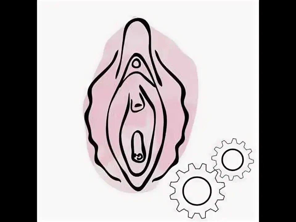 The Vagina & Vulva Story - YouTube
