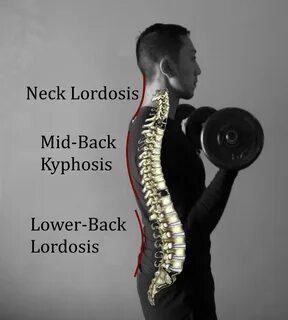 Good Posture, Better Performance: What you need to know abou