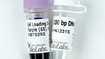 New England Biolabs (UK) Ltd - 100 bp DNA Ladder