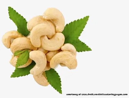 Rambutan Clipart Cashew Nut - Cashew Png - Free Transparent 