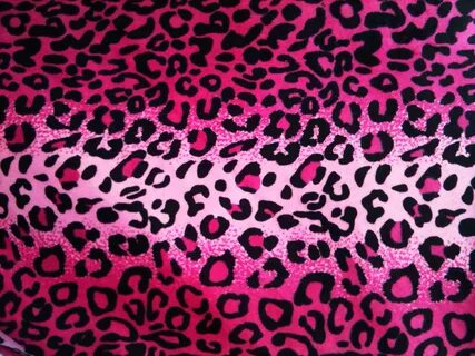 Pink Cheetah Related Keywords & Suggestions - Pink Cheetah L