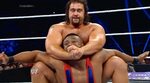 WWE - List of WWE/WWF Finishers Genius
