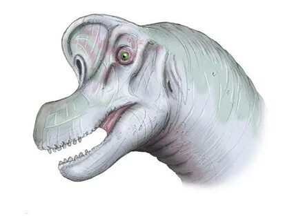 Maya Project: Brachiosaurus Adventures of a 3D Junkie