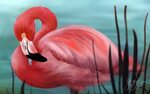 Розовый Фламинго арт - 33 фото - картинки и рисунки: скачать