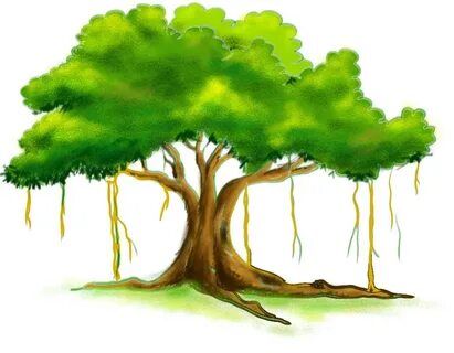 The Best 21 Banyan Tree Drawing Easy - learnexamplecolor