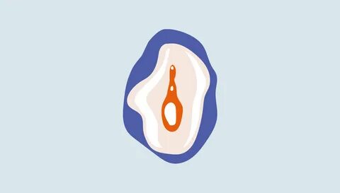 Vulva and vagina anatomy 101: expert tips for vaginal health