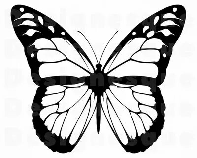 Monarch Butterfly Outline SVG Butterfly SVG Monarch Etsy