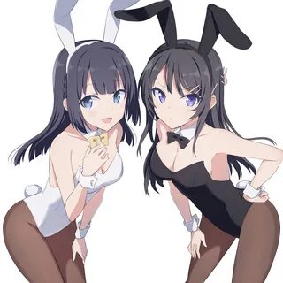 Seishun Buta Yarou wa Bunny Girl Senpai no Yume wo Minai Ima