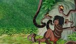 Mowgli GIF - Encontrar em GIFER