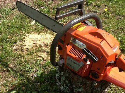 Chainsaw Pics... Firewood Hoarders Club