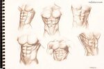 Male torso study for the six pack lovers by rafater on devia