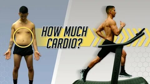 How Much Cardio Should You Do To Lose Belly Fat? 