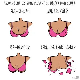 12 dessins que comprendront toutes les personnes avec des seins