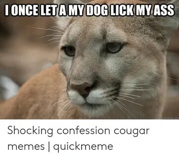 🐣 25+ Best Memes About Cougar Memes Cougar Memes