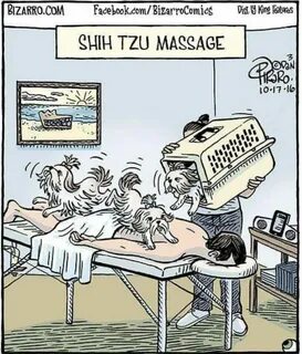 The best type of massage! - Album on Imgur