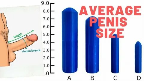 Human Penis Size - What Is Normal Penis Size? - YouTube