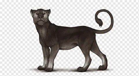 Lion Felidae Big cat Caramelization, lion, mammal, animals, 