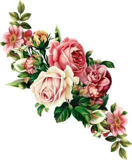 Discover - Vector Flower Bouquet Png - (2595x3125) Png Clipa