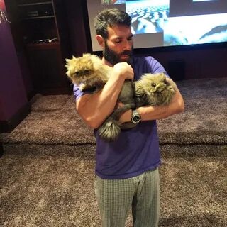 Dan Bilzerian on Twitter: "Because my cats hate LA I flew to